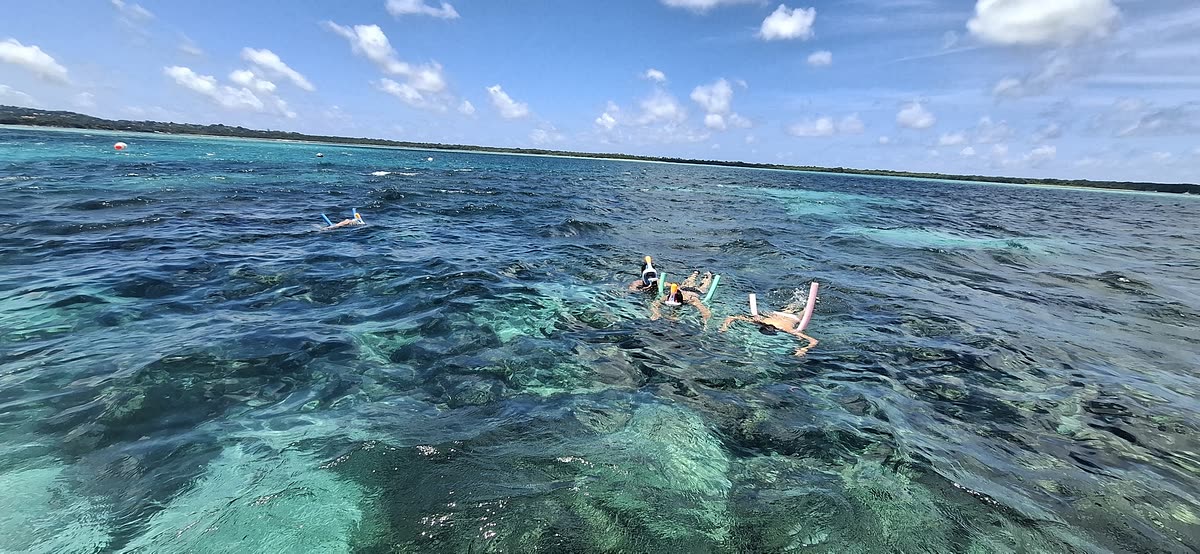 A group snorkelling over the reef in clear turquoise water, the island behind them