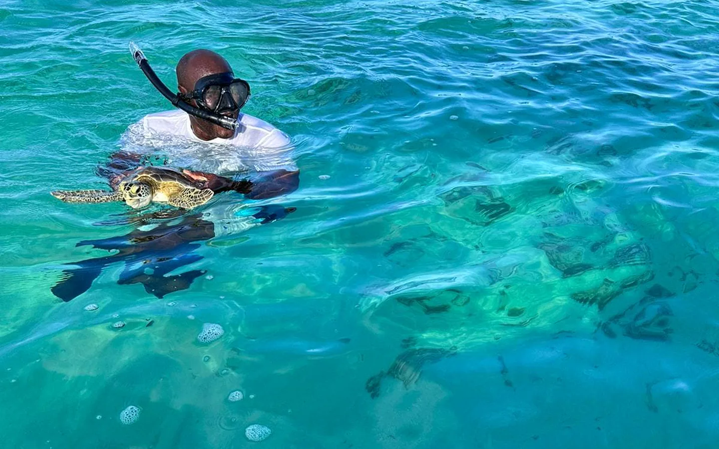 A snorkeler at the surface holding a green turtle in clear turquoise water