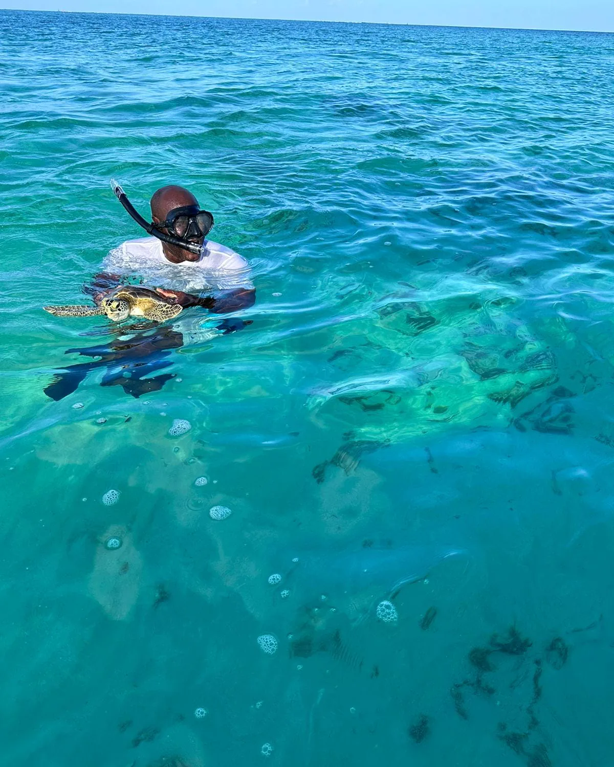 A snorkeler at the surface holding a green turtle in clear turquoise water