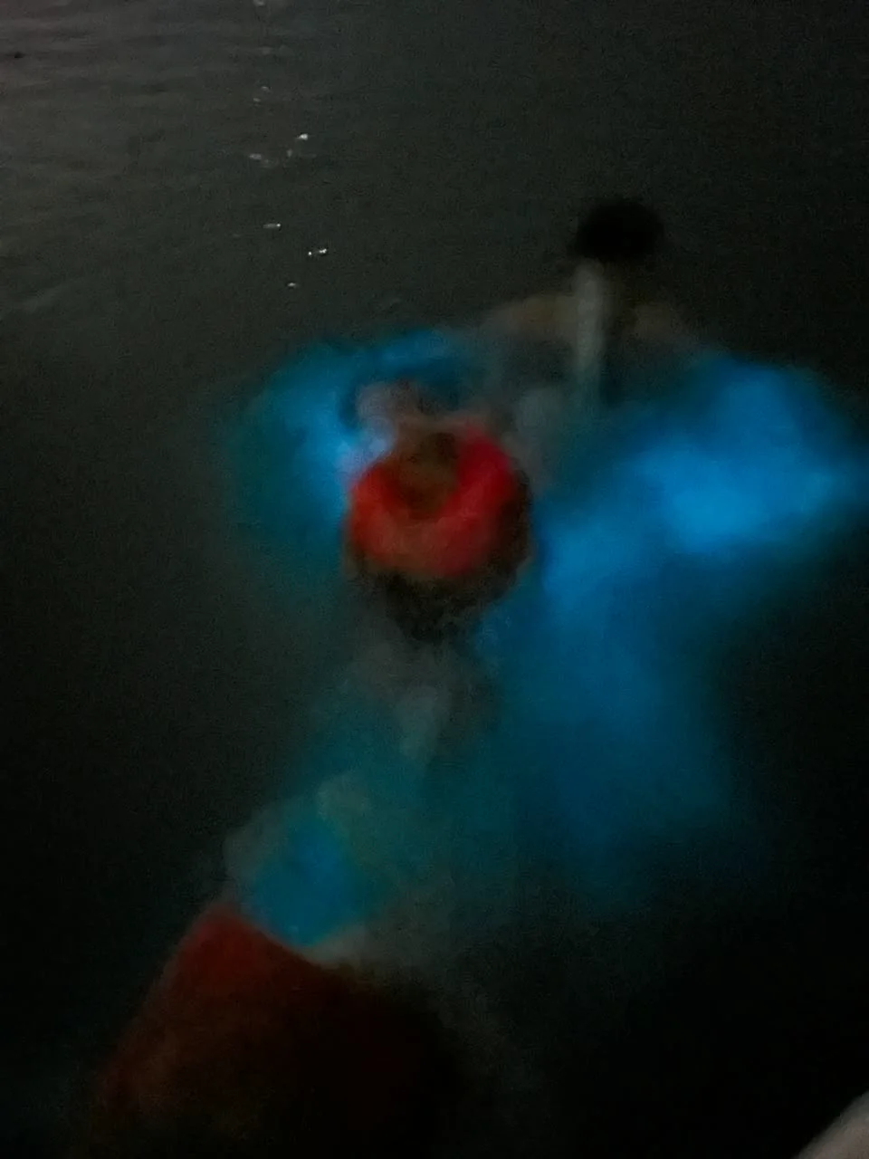 A swimmer ringed by glowing blue water in the lagoon at night