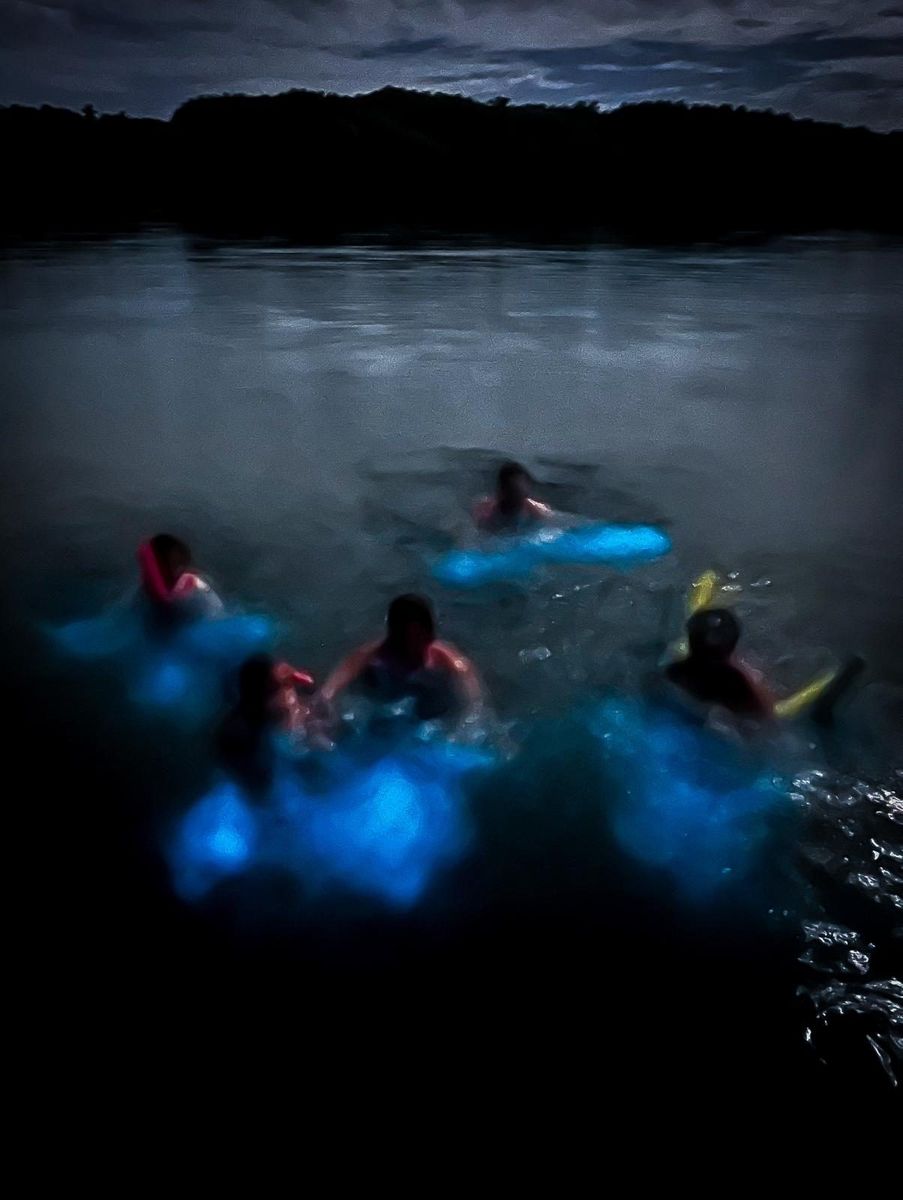 Swimmers glowing blue in bioluminescent water at night