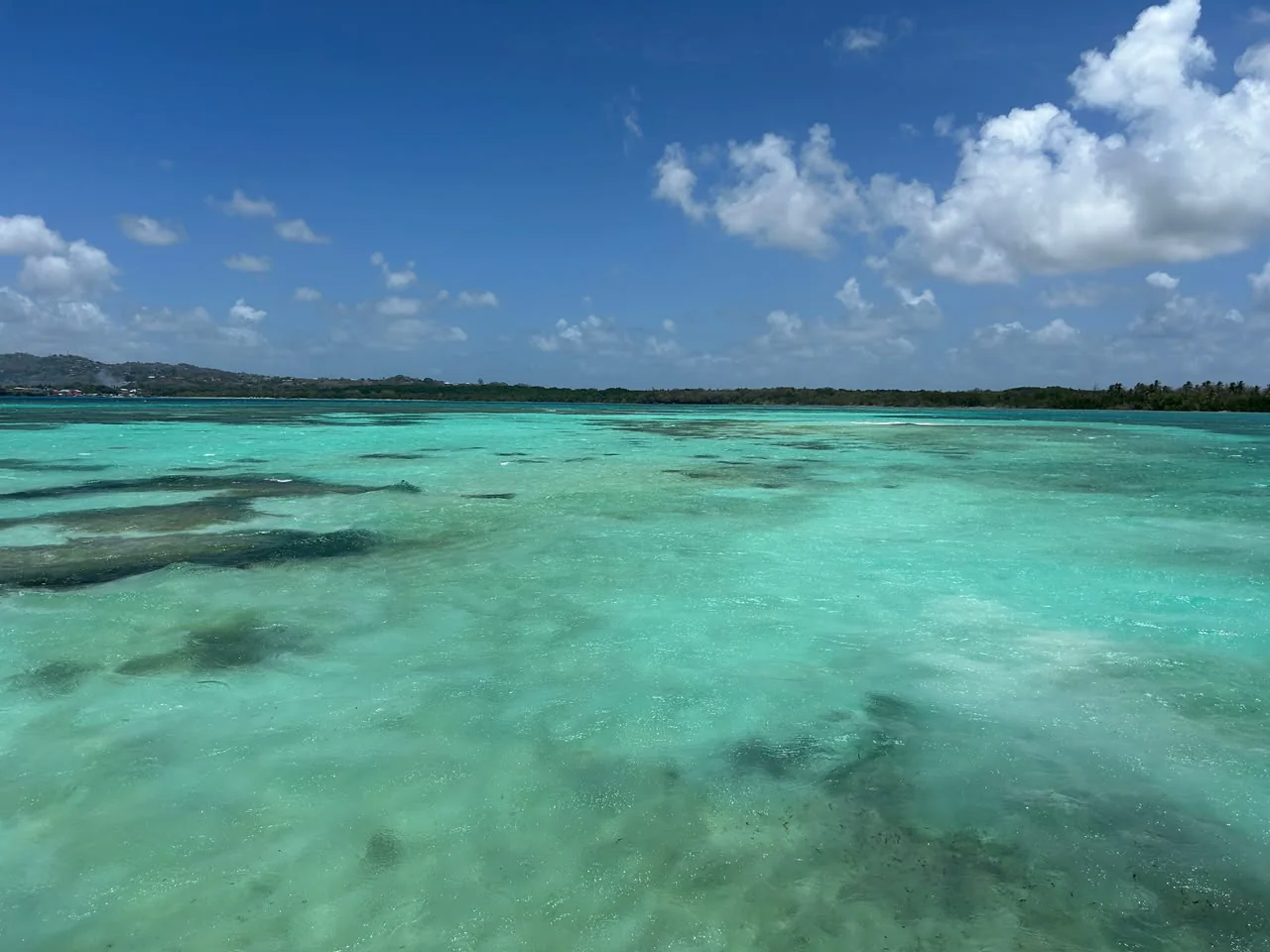 Across the shallow flats