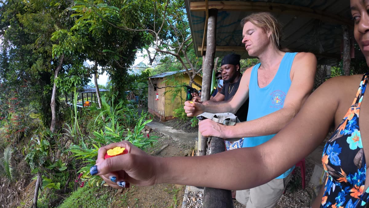 Guests holding out nectar feeders at a rainforest stop