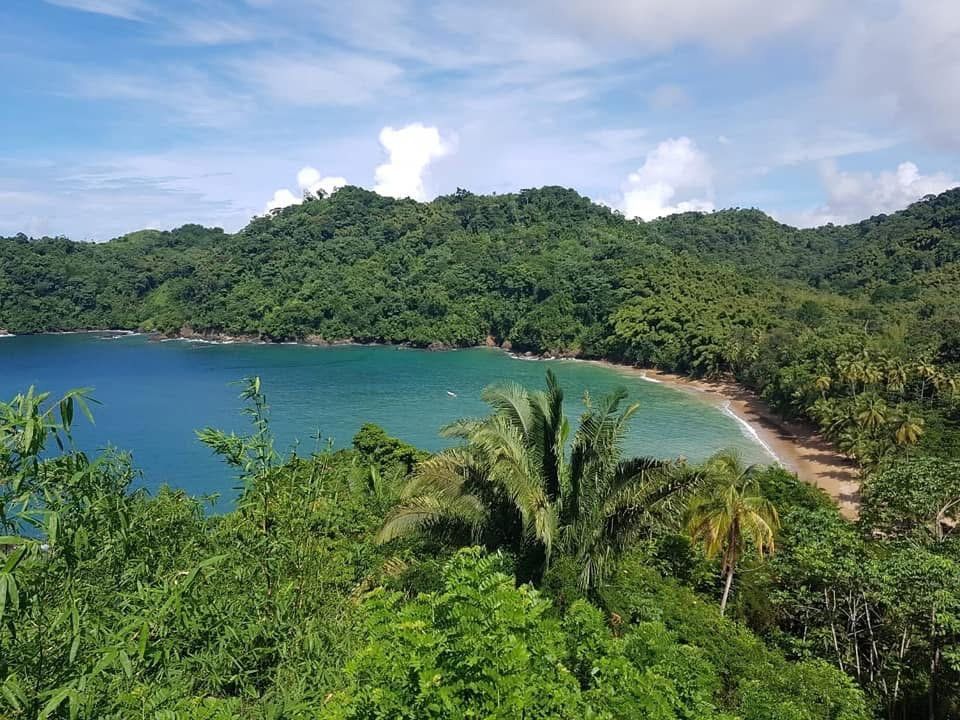 Rainforest tour
